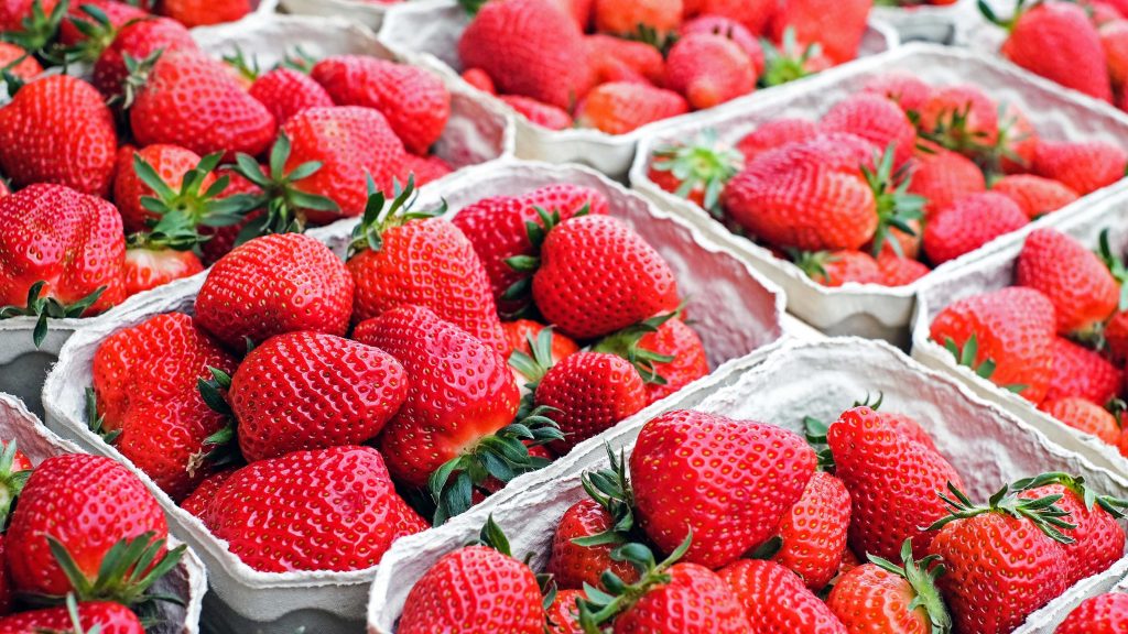 Erdbeer-Schalen